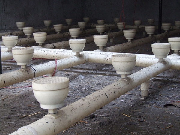 曝氣器動態(tài)